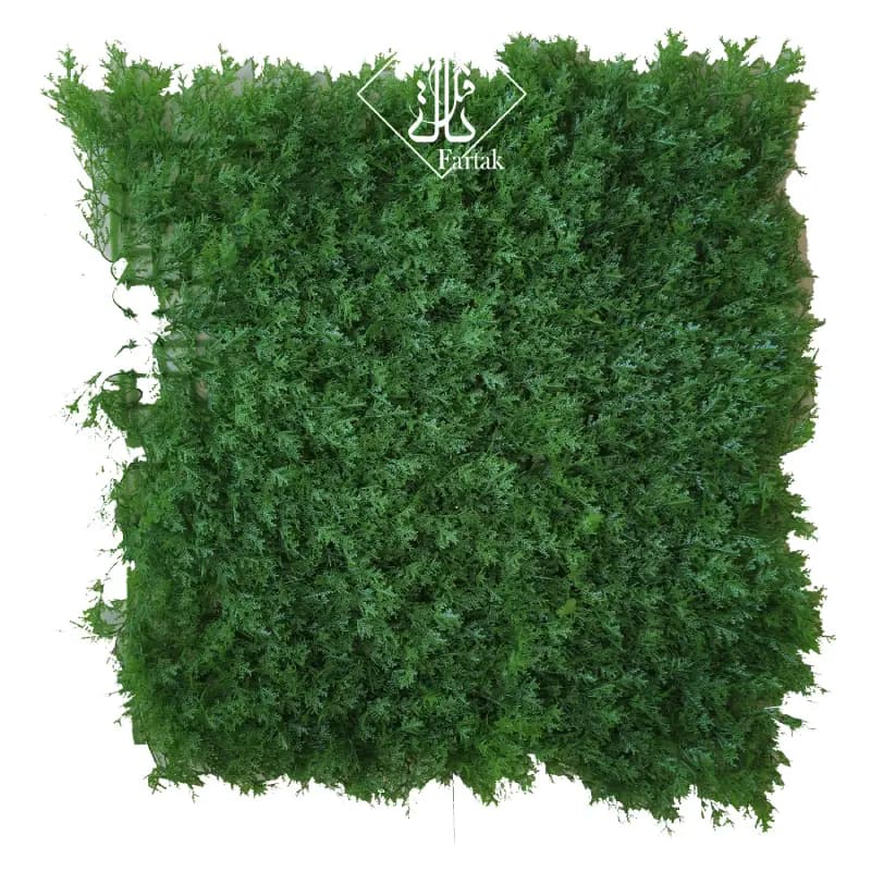 دیوار سبز مدل کاج لاوسون