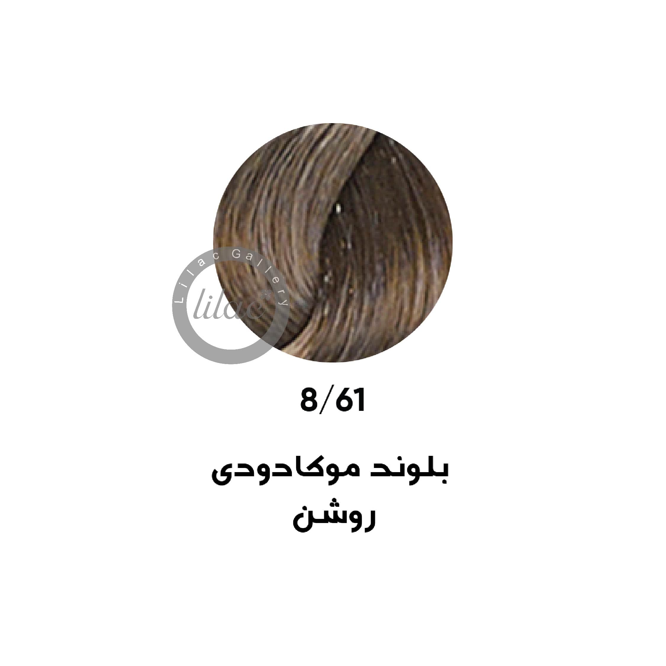 ارایبا erayba gamma رنگ مو شماره 8.61 بلوند موکا دودی روشن 100 میل