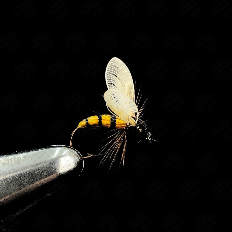 پشه ماهیگیری کد ۳۹
