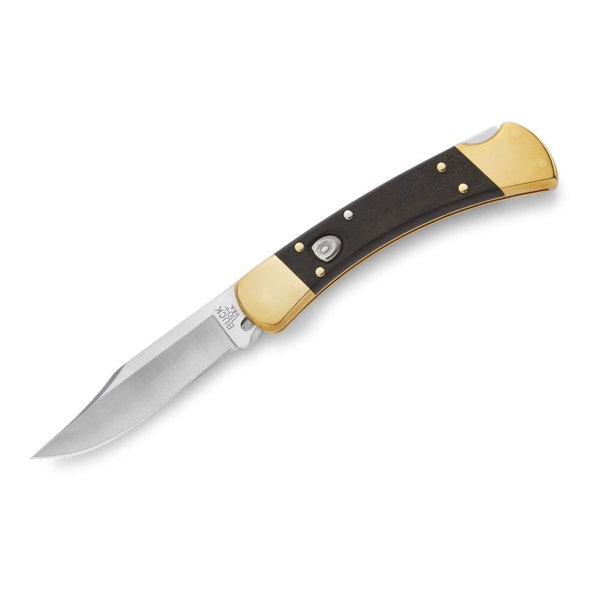 چاقو باک 110 اُتو Buck 110 Auto Knife