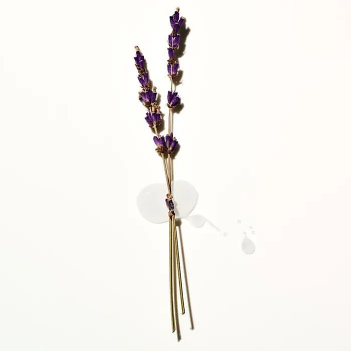 لوسیون بدن پینک ویکتوریا سکرت Lavender — تصویر ۲