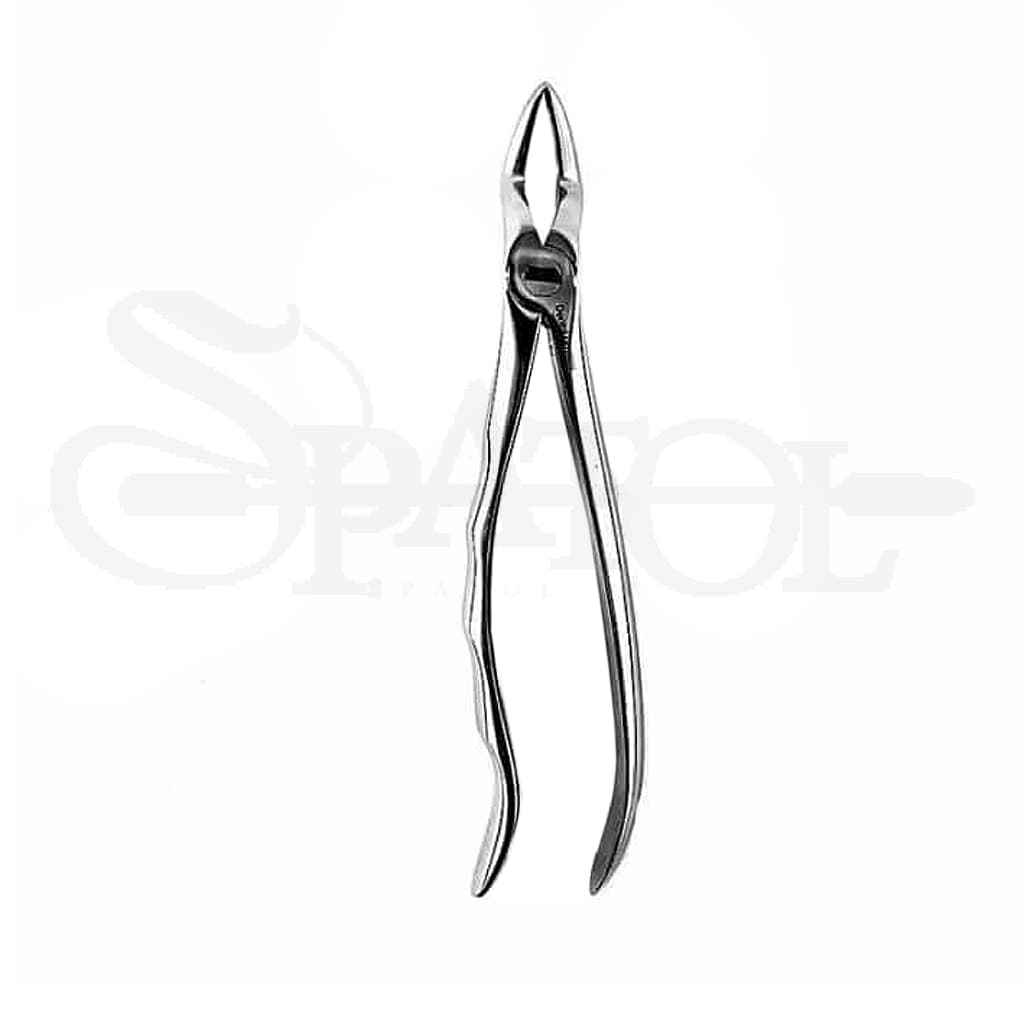فورسپس اناتومیک ریشه کش بالا دنتال دیوایس Dental device