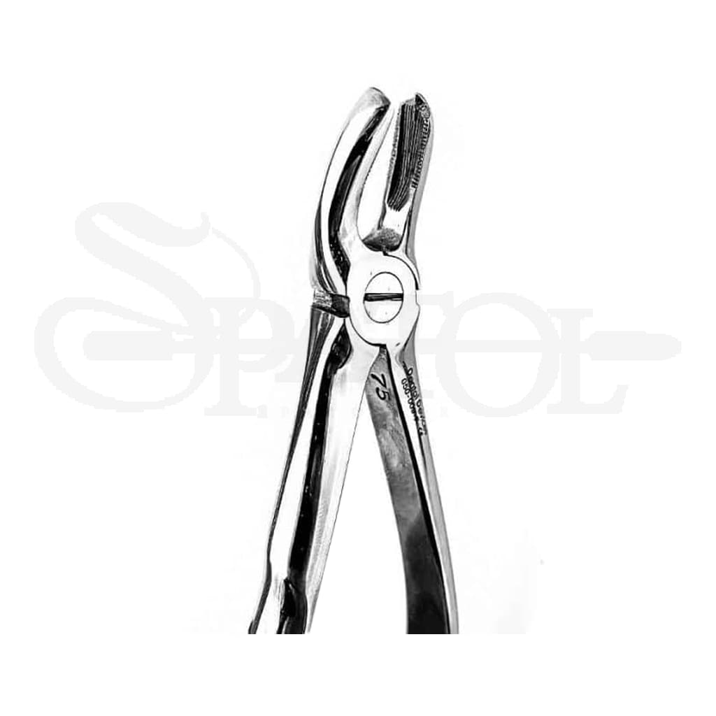 فورسپس اناتومیک مولر بالا چپ دنتال دیوایسDental Devices — تصویر ۲