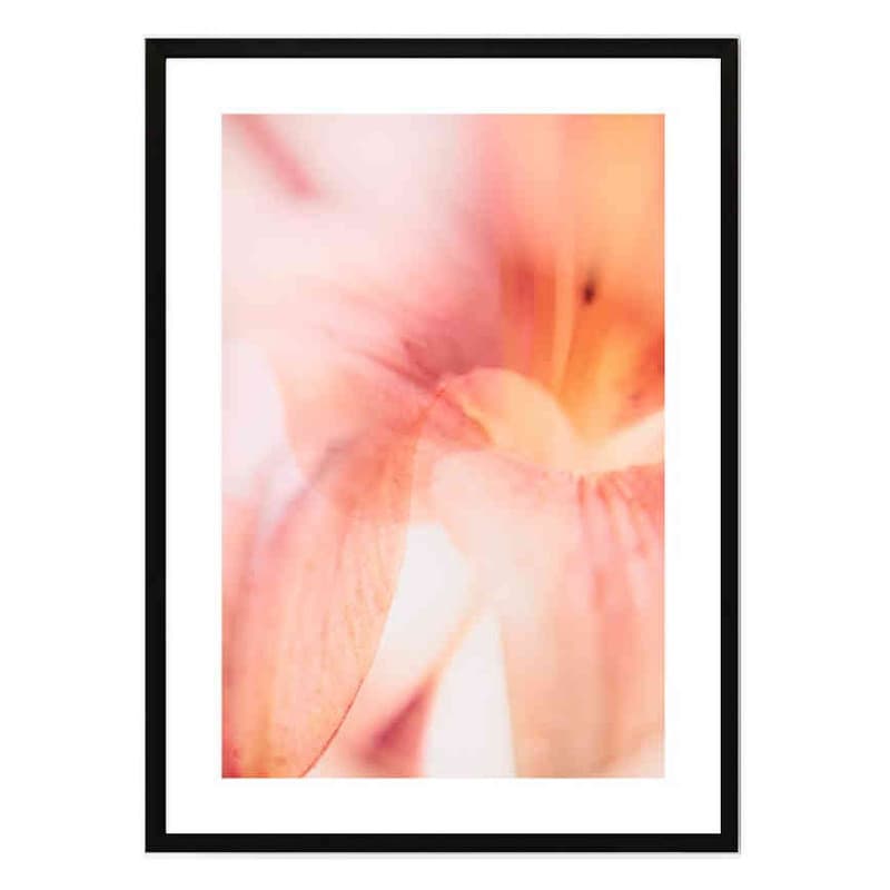 تابلو مدل Coral lily کد 248901606