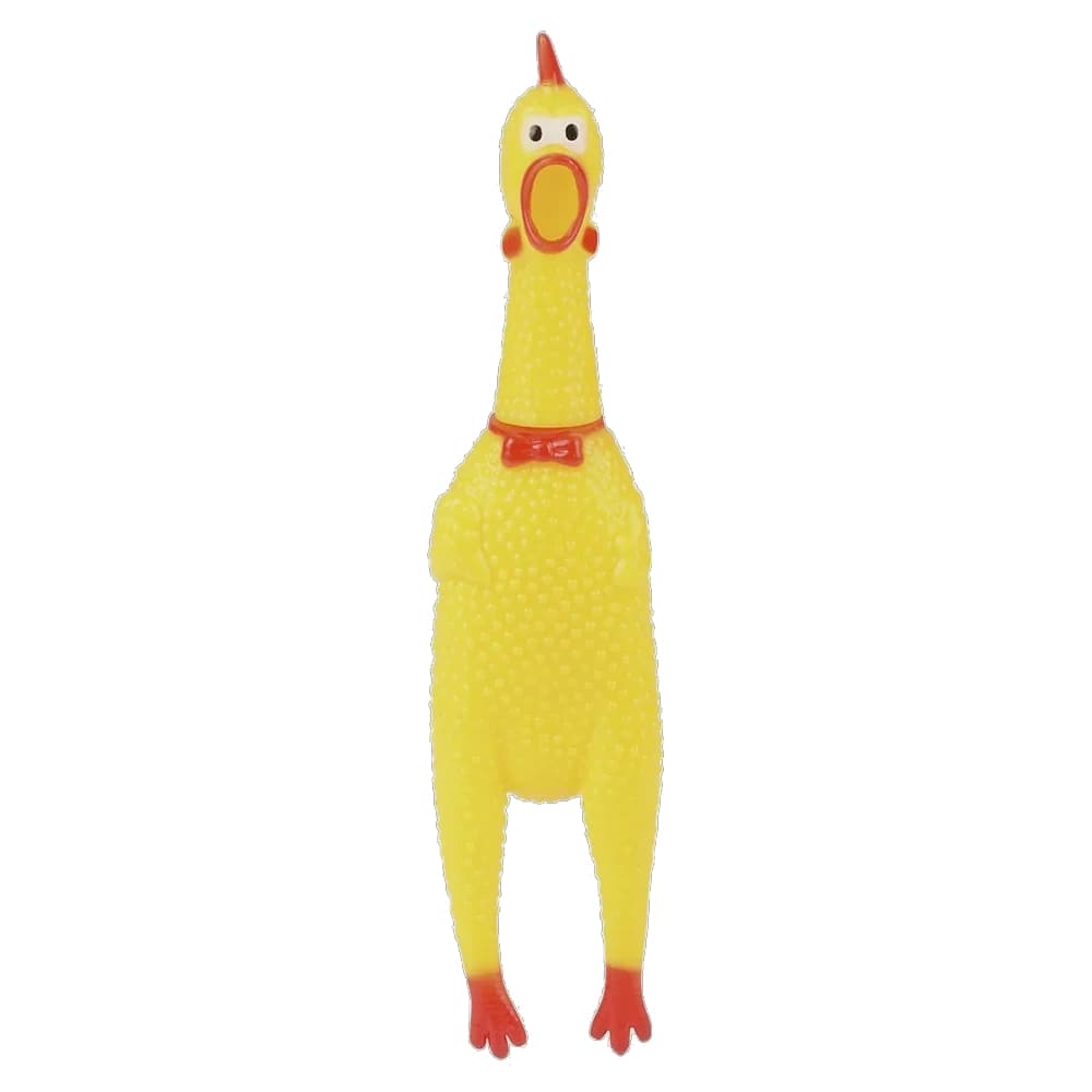 مرغ نالان Shrilling Chicken