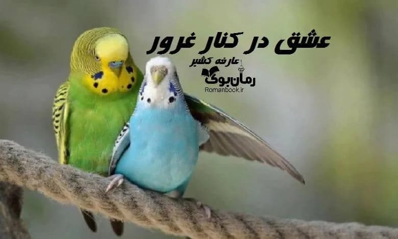 و دانلود نسخه کامل رمان عشق در کنار غرور | رمان عاشقانه | رمان بزرگسال | رمان اجتماعی