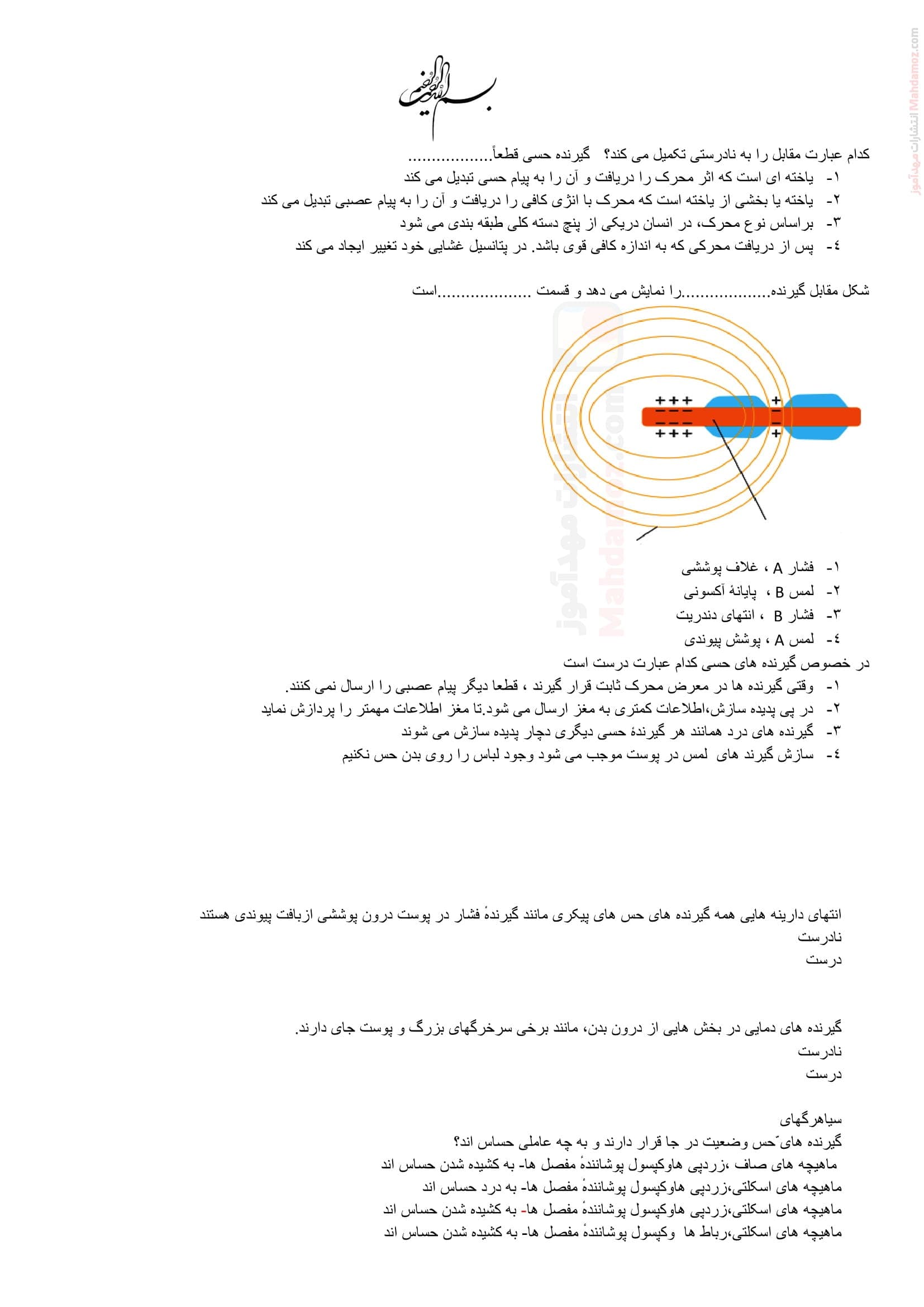 سوال و جواب فصل 2 گفتار اول و دوم زیست شناسی ویژه یازدهم | با جواب