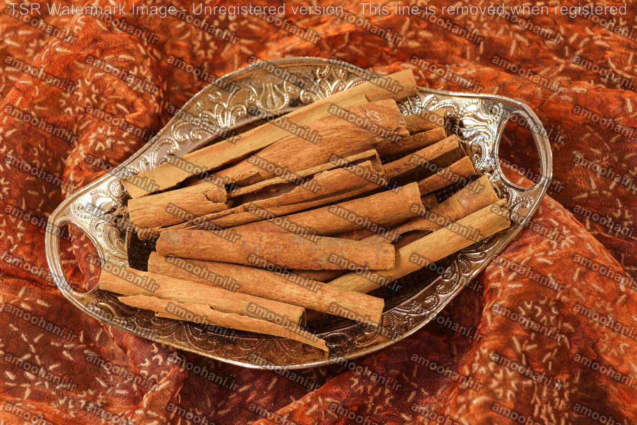 دارچین_لوله ای_سیگاری — تصویر ۳