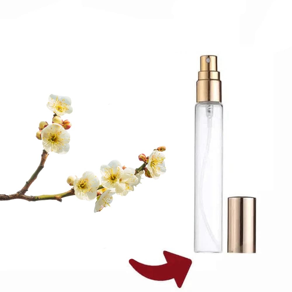 عطر گرمی گل یخ — تصویر ۷