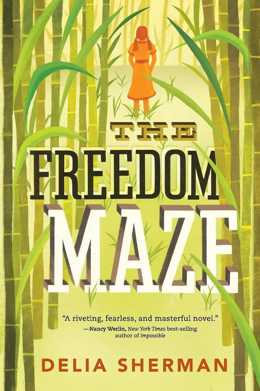 کتاب هزارتوی آزادی (The Freedom Maze) نسخه انگلیسی PDF | دلیا شرمن