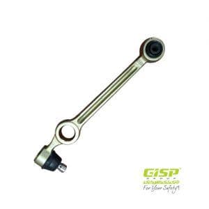 طبق چپ تیبا GISP