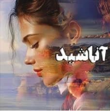 دانلود pdf رمان آناشید اثر مریم عباسقلی — تصویر ۲