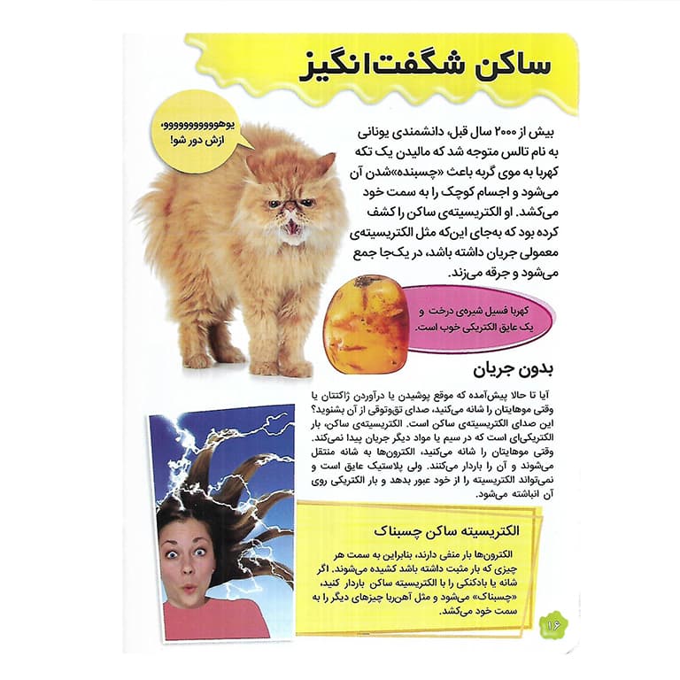 علوم چندش آور و ترسناک: شوک الکتریکی و سایر شرارت های انرژی — تصویر ۲