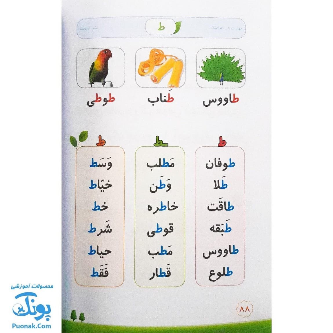 کتاب مهارت در خواندن اول ابتدایی صیانت — تصویر ۷
