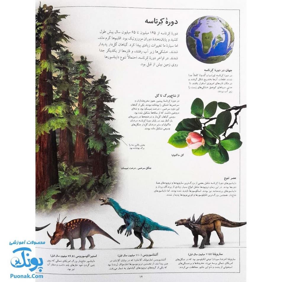 کتاب دایناسورها از مجموعه شاهد عینی — تصویر ۴