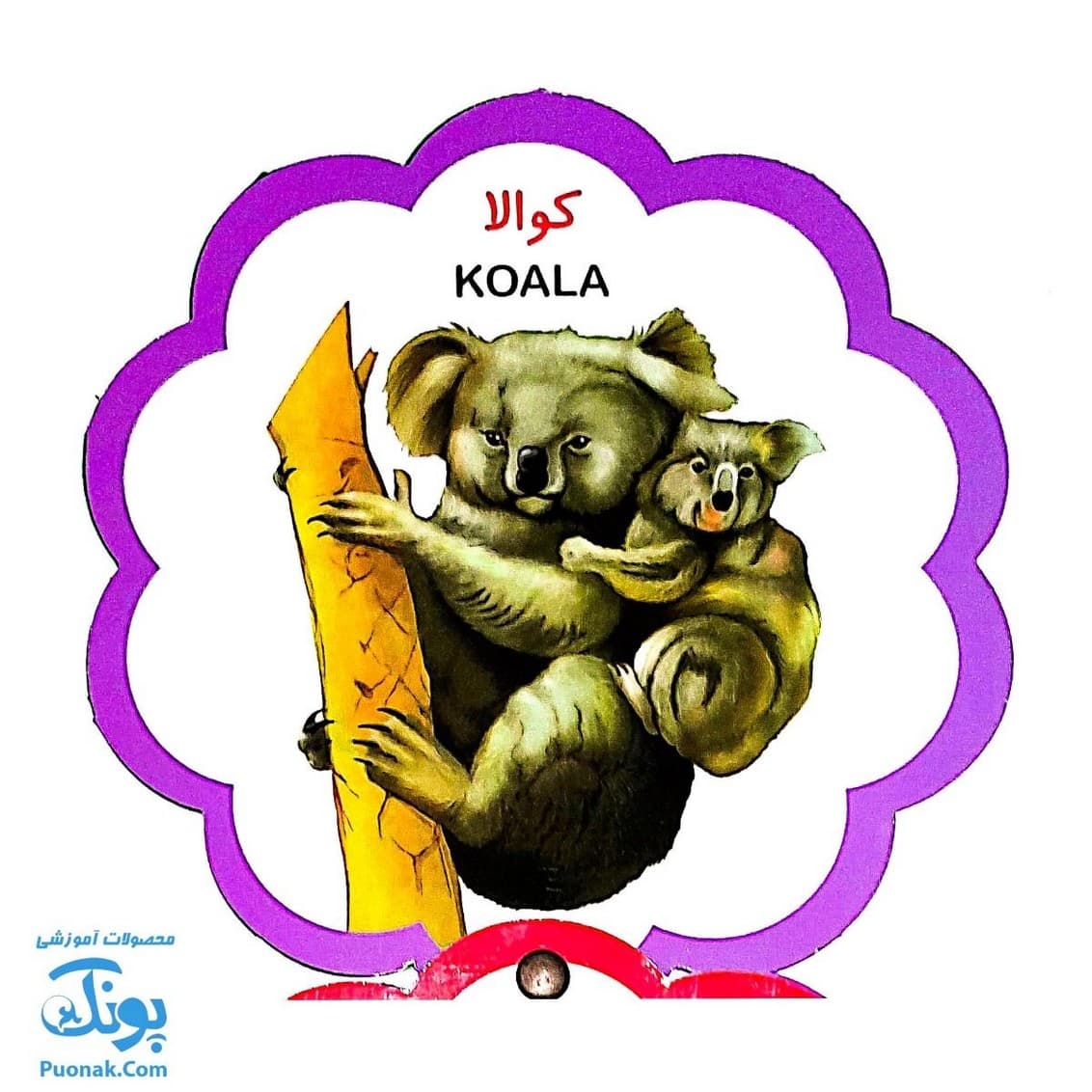 کتاب مصور حیوانات جنگل دو زبانه (مجموعه کتب تصویری کودکان جلد اول – دکمه ای) — تصویر ۵