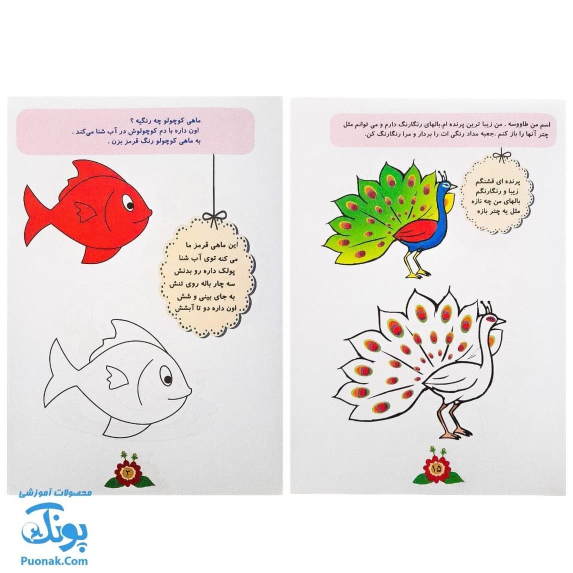 کتاب های آموزشی پیش از دبستان غنچه باهوش ۲ تا ۳ سال — تصویر ۶
