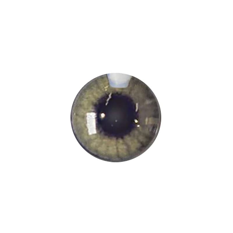 لنز چشم رنگی آی ریو Eyereve شماره 10 مدل Marron