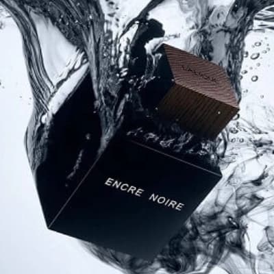 عطر ادکلن لالیک مشکی انکر نویر مردانه چوبی گرم و تلخ – Lalique Encre Noire درجه ۱ سوئیس — تصویر ۲