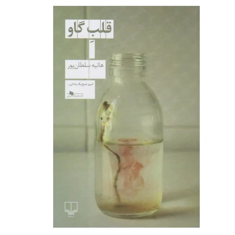 کتاب قلب گاو اثر هانیه سلطان پور نشر چشمه — تصویر ۲