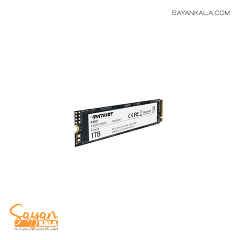 اس اس دی اینترنال پاتریوت مدل SSD PATRIOT NVME P300 1TB — تصویر ۲