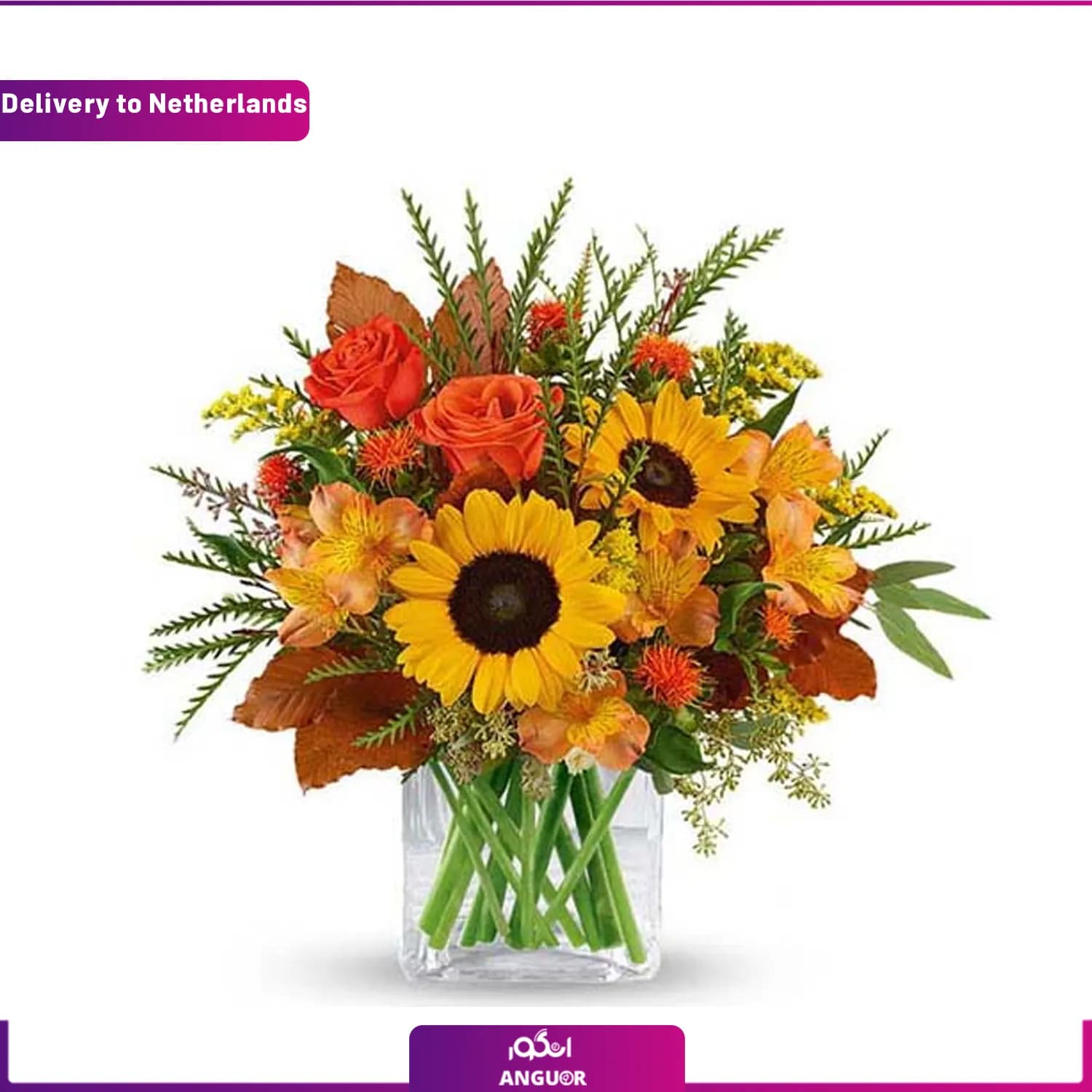 دسته گل Midnight Sun Bouquet (ارسال گل به هلند)