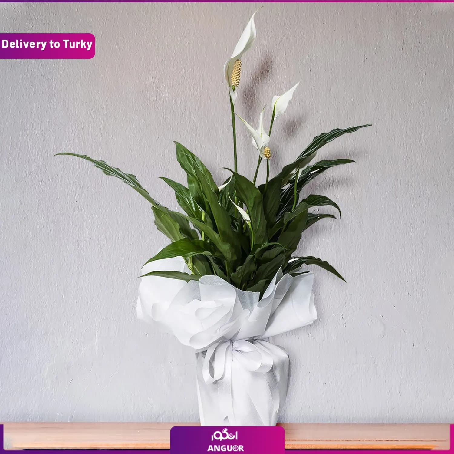 گلدان چمچمه ای (ارسال گل به ترکیه)