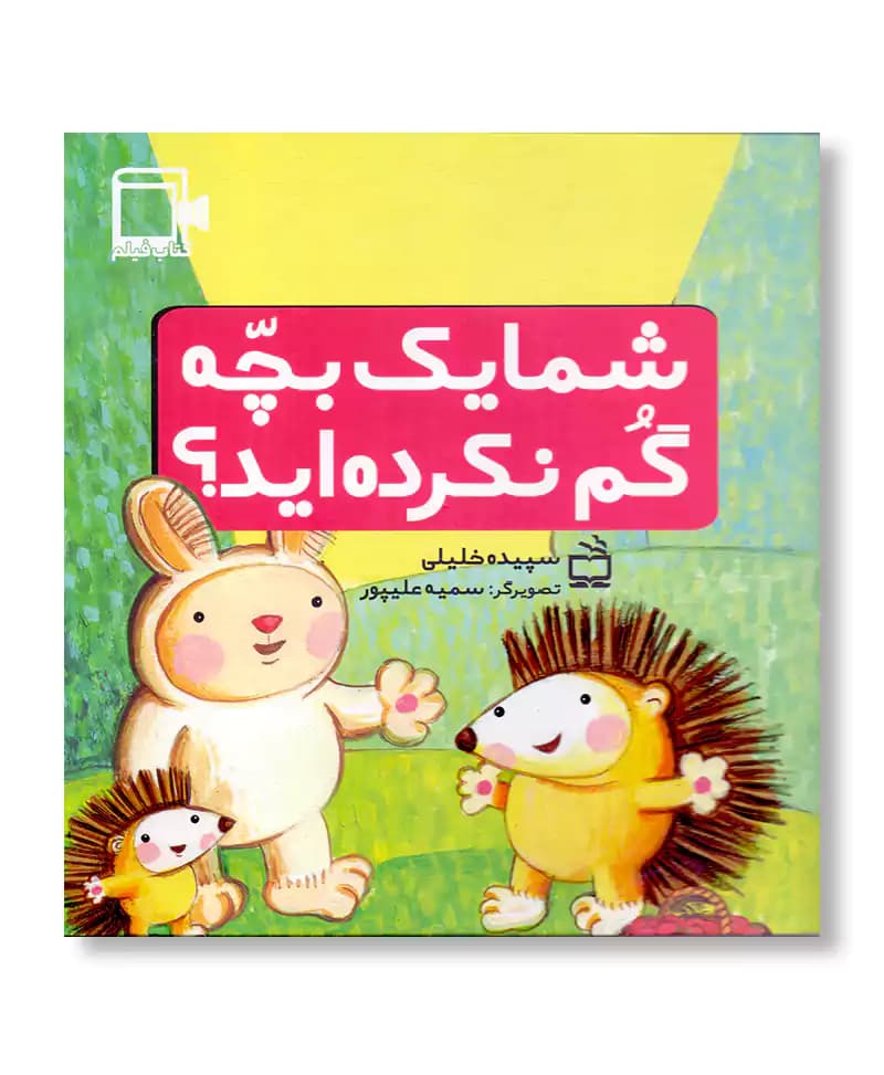 شما یک بچه گم نکرده اید؟