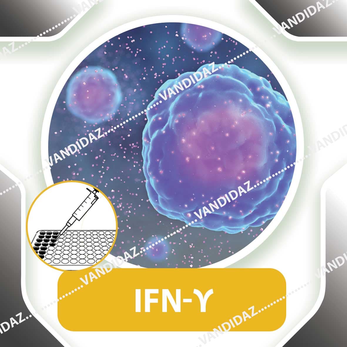 کیت الایزا IFN گاما انسانی