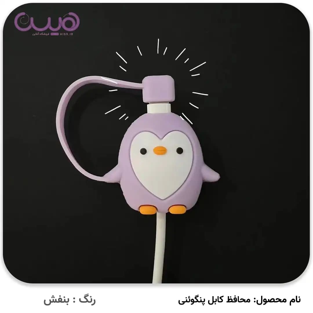 محافظ کابل پنگوئنی — تصویر ۲