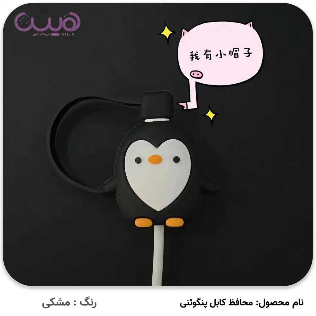 محافظ کابل پنگوئنی — تصویر ۳