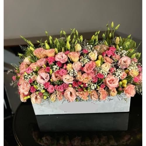 گل فروشی محدوده مرکز سمپاد تهران t6305