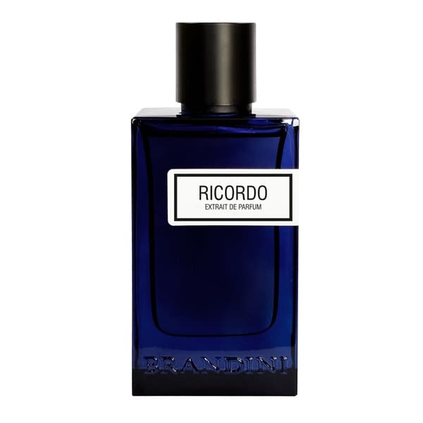 ادو پرفیوم مردانه برندینی مدل ریکوردو حجم ۹۰ میلی لیتر | Brandini RICORDO For Men EDP 90ml — تصویر ۲