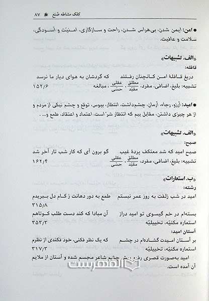نگاهی به تصاویر در اشعار حافظ — تصویر ۲