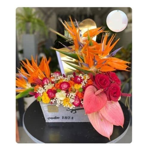 گل فروشی نزدیک کیک و شیرینی و دسر هانالند محله مخصوص تهران sh12
