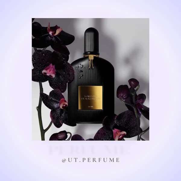 عطر تام فورد بلک ارکید | Tom Ford – Black Orchid — تصویر ۶