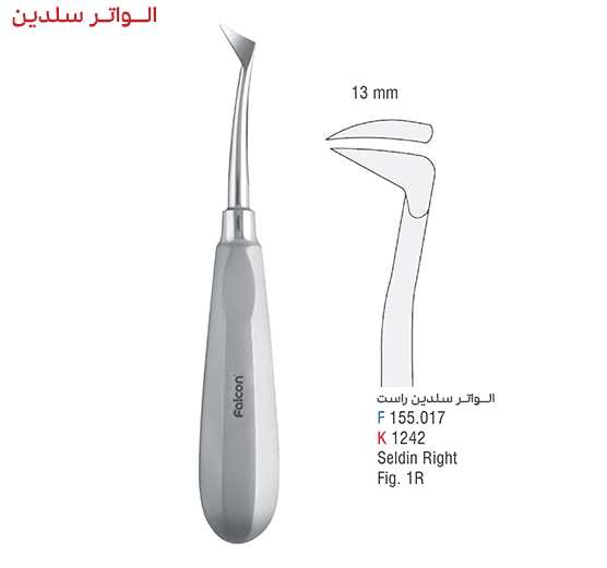 الواتور سلدین – فالکن — تصویر ۳