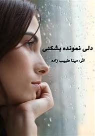 رمان دلی نمونده بشکنی | دانلود | کتاب خوان
