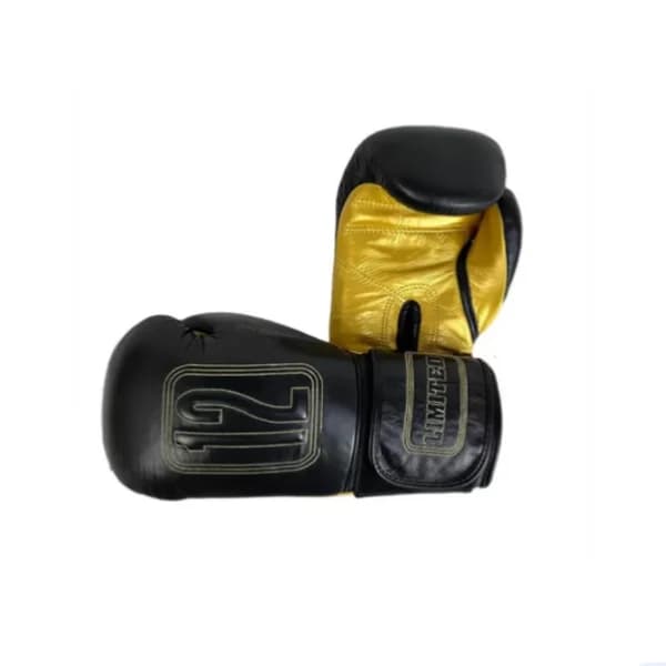 دستکش بوکس ALEXANDER KADY 12