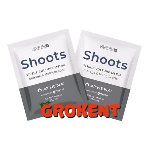 آتنا شوتس Athena Shoots — تصویر ۳
