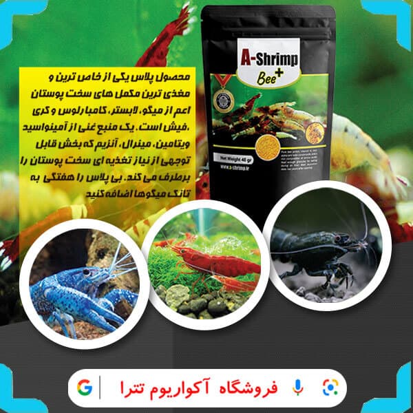 غذای میگو آب شیرین مدل Meal Food — تصویر ۲