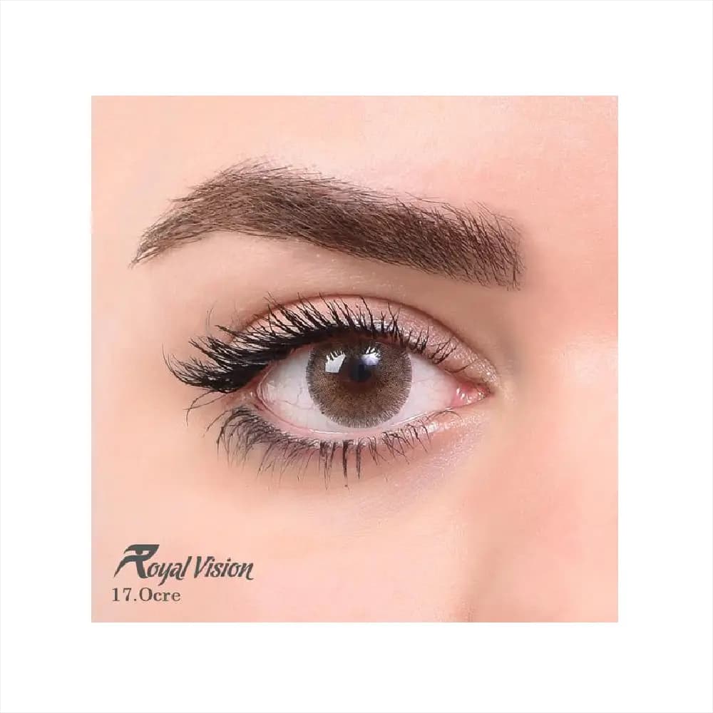 لنز رنگی رویال ویژن Royal Vision Daily Lens 17 Ocre — تصویر ۲