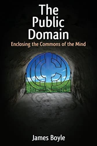و دانلود نسخه کامل کتاب زبان اصلی The Public Domain 1st Edition | دانلود کتاب خارجی