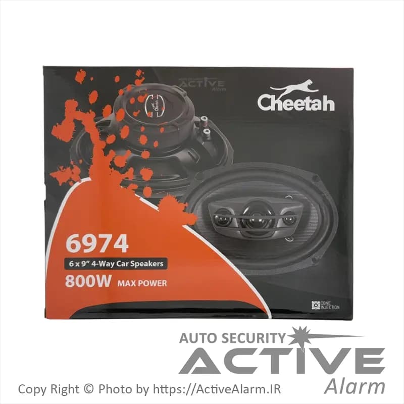 باند بیضی 9*6 چیتا Cheetah مدل 6974 — تصویر ۷