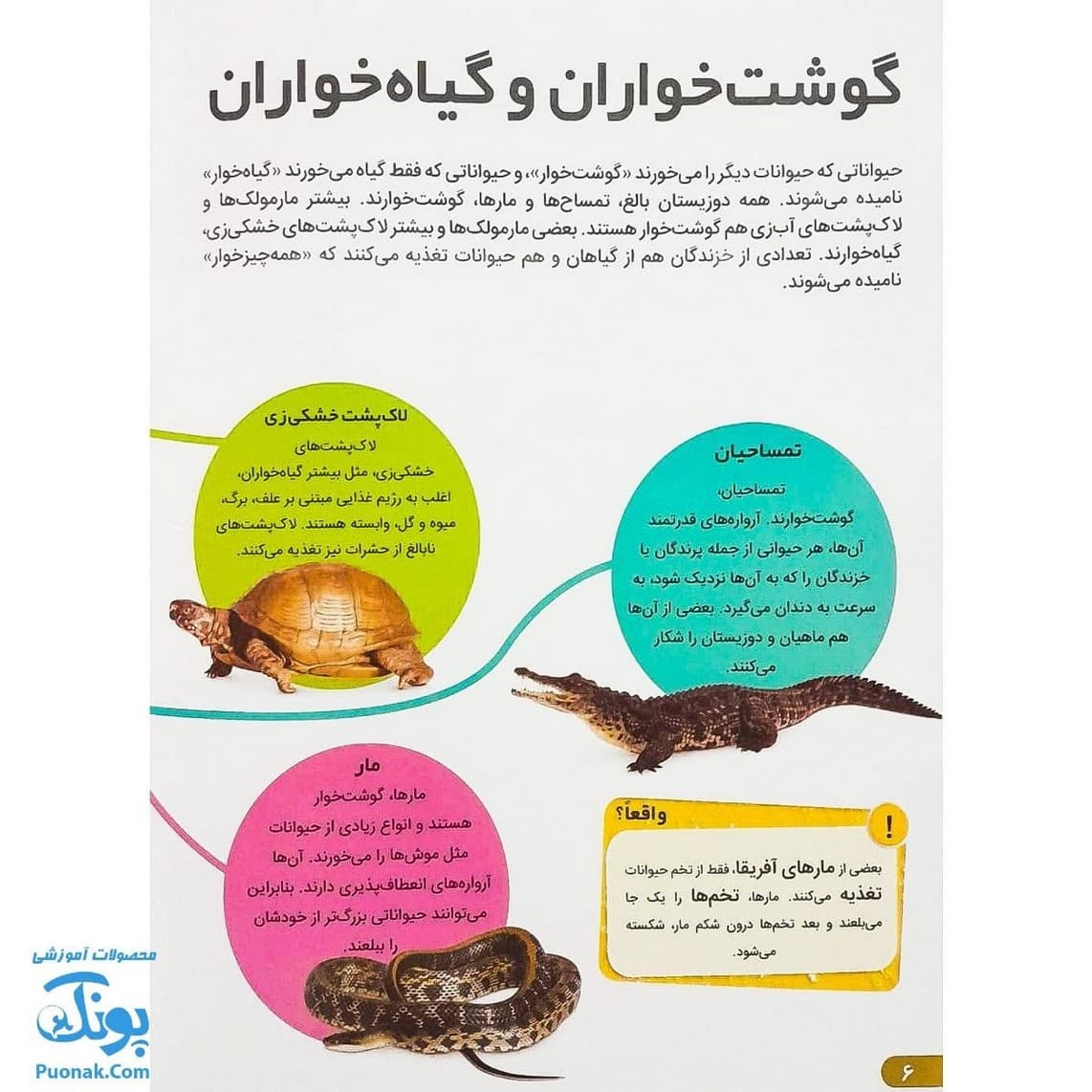 کتاب دانستنی های شگفت انگیزی از خزندگان و دوزیستان — تصویر ۴