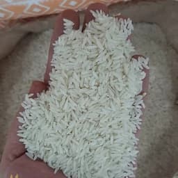 برنج طارم هاشمی 10kg پاک شده سورتینگ زده یک دست — تصویر ۲