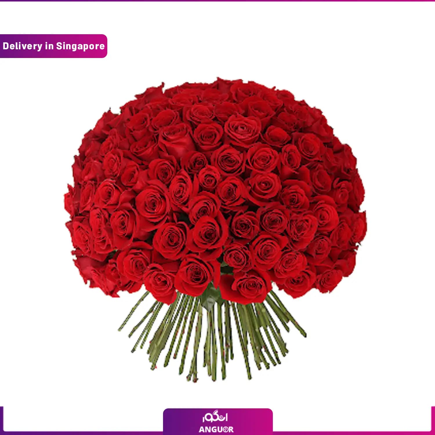 دسته گل 99 شاخه رز قرمز (ارسال گل به سنگاپور)