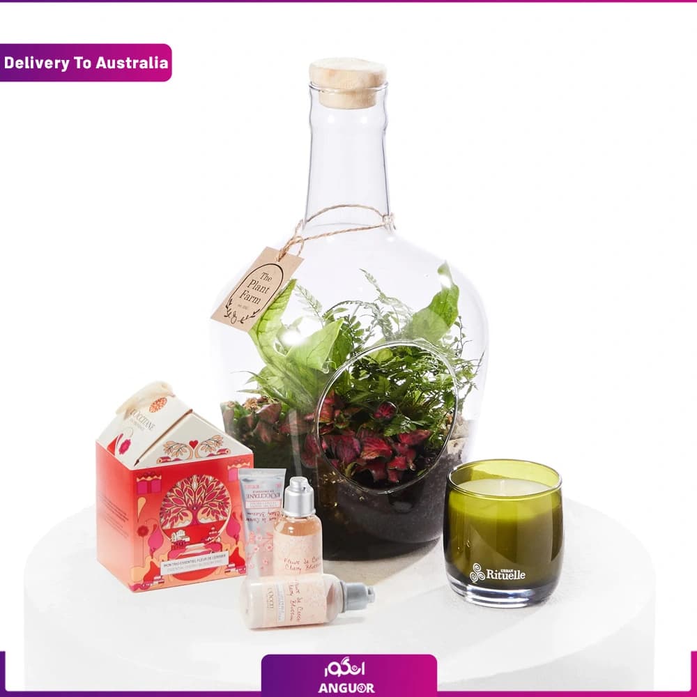 پک هدیه سه تایی ویژه کریسمس (تحویل در استرالیا)