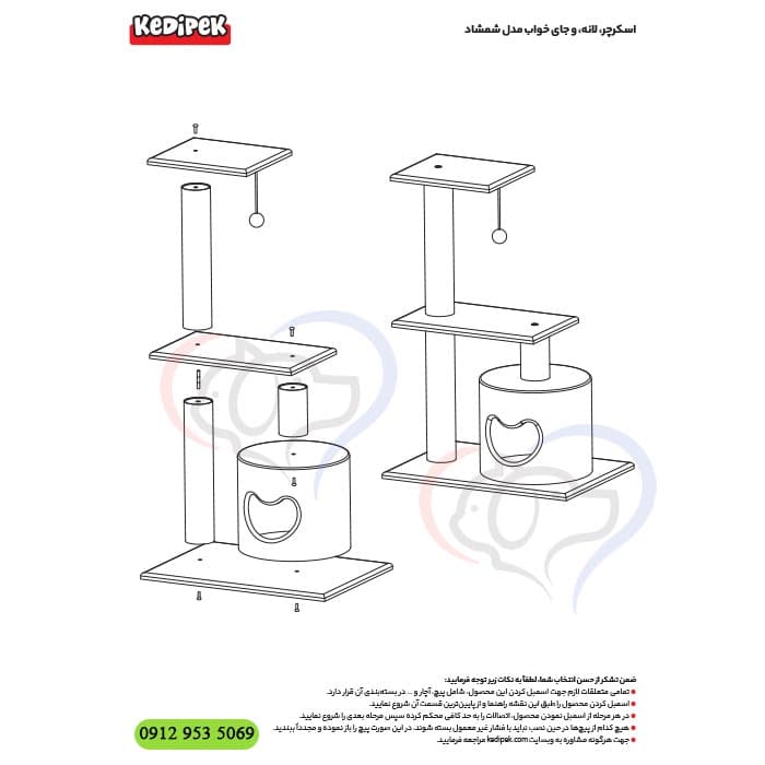 درخت گربه شمشاد کدیپک + تحویل فوری — تصویر ۲