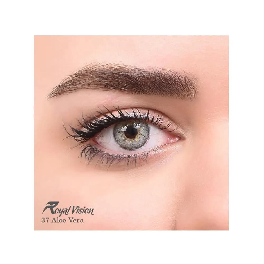 لنز رنگی رویال ویژن Royal Vision Daily Lens 37 Aloe Vera